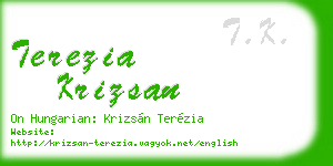 terezia krizsan business card